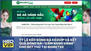 Tỷ Lệ Kèo Bóng Đá Keovip Và Kết Quả Bóng Đá: “Cẩm Nang Vàng” Cho Bet Thủ Tại Bigbet88